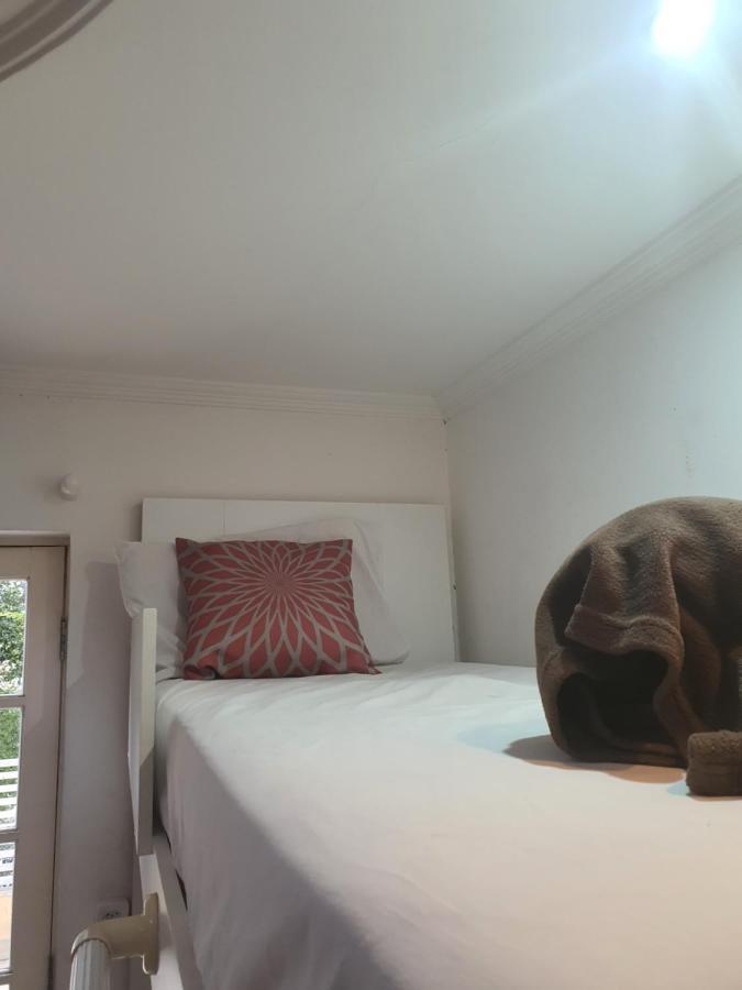 Villa Hostel Sp - Proximo Ao Allianz Parque E Paulista São Paulo Exteriör bild