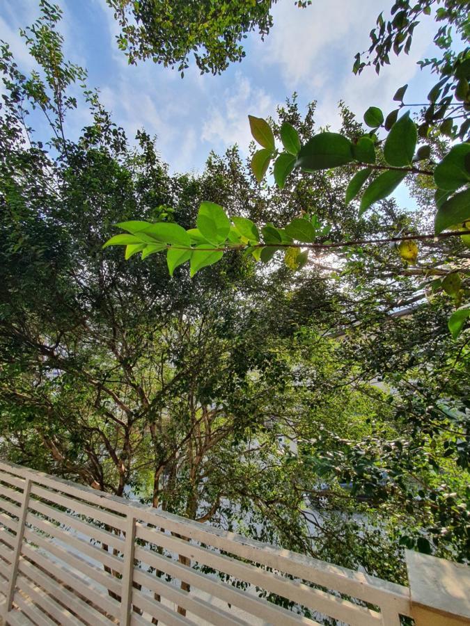 Villa Hostel Sp - Proximo Ao Allianz Parque E Paulista São Paulo Exteriör bild